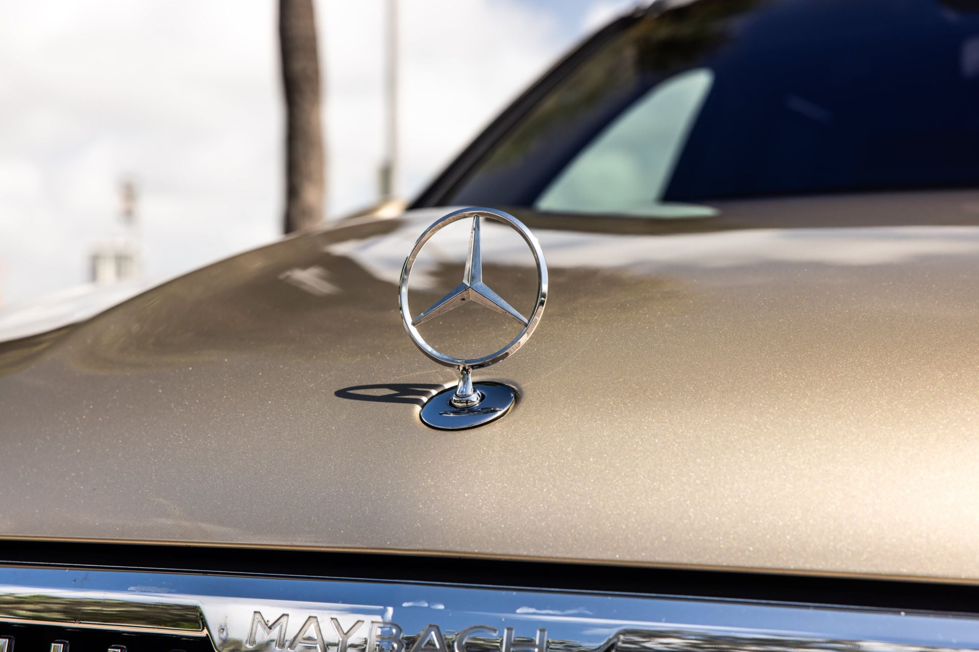 Mercedes-Benz emblem on a car hood with a blurred background